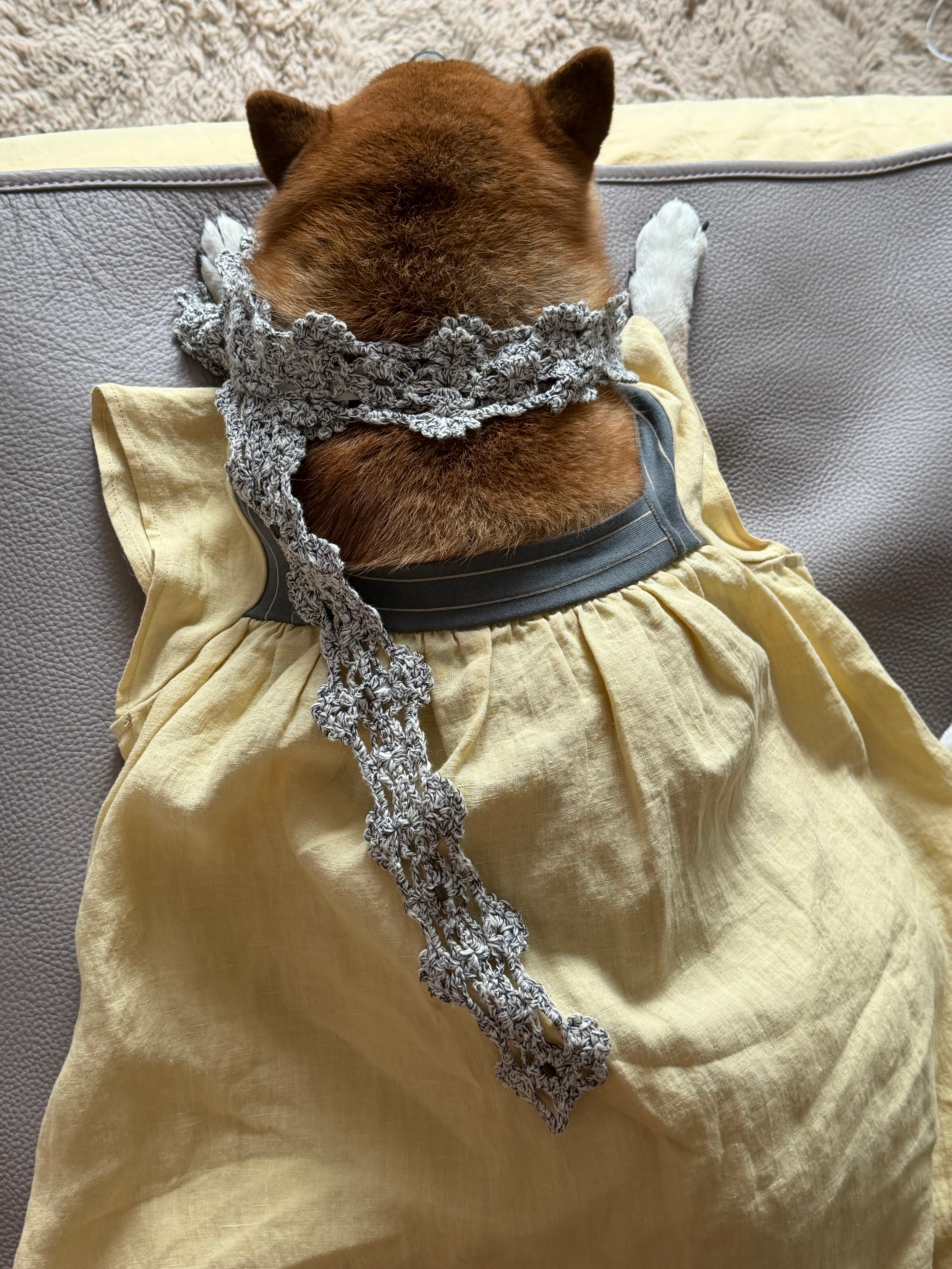 嘿嘿 