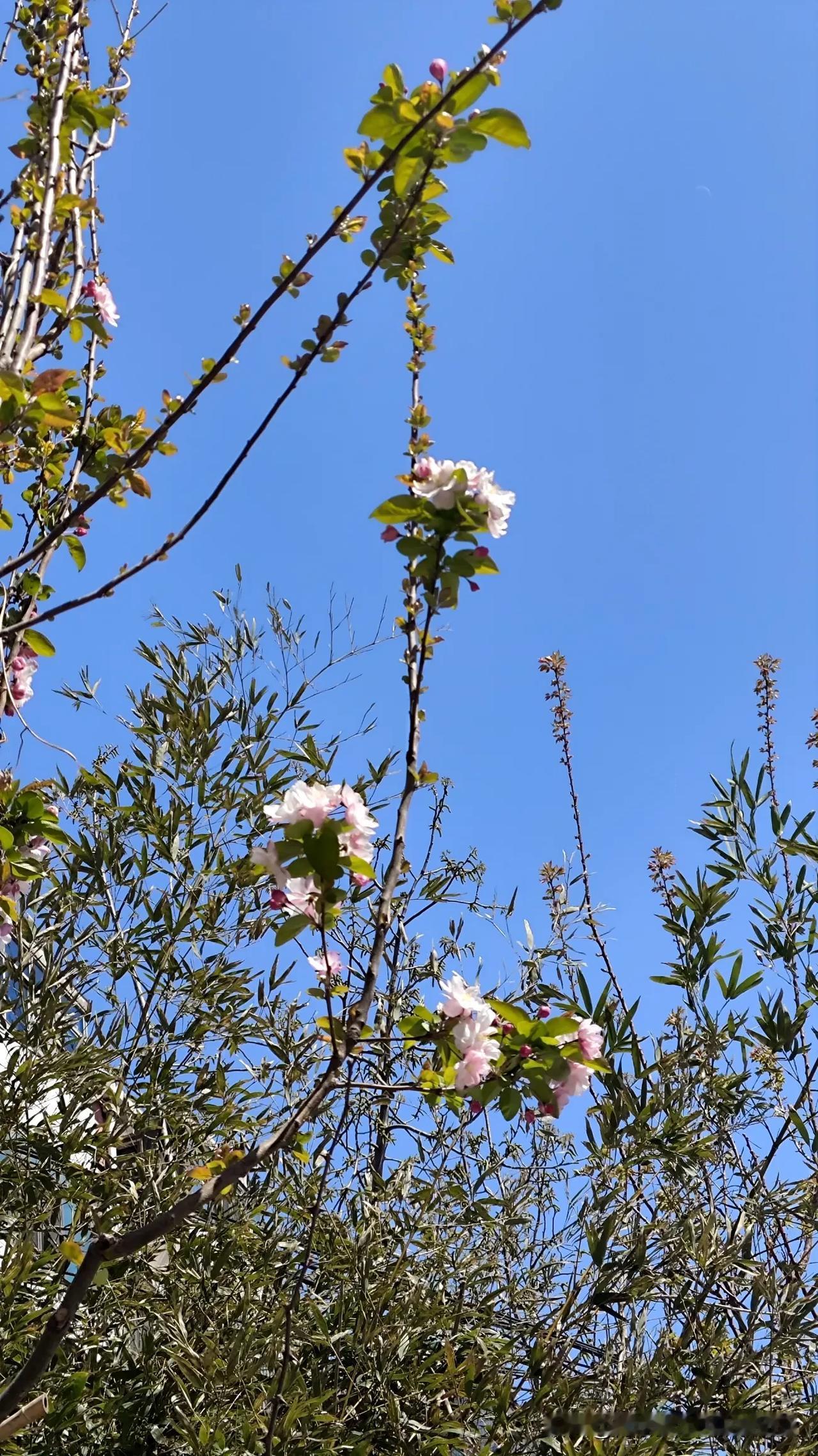 春暖花开