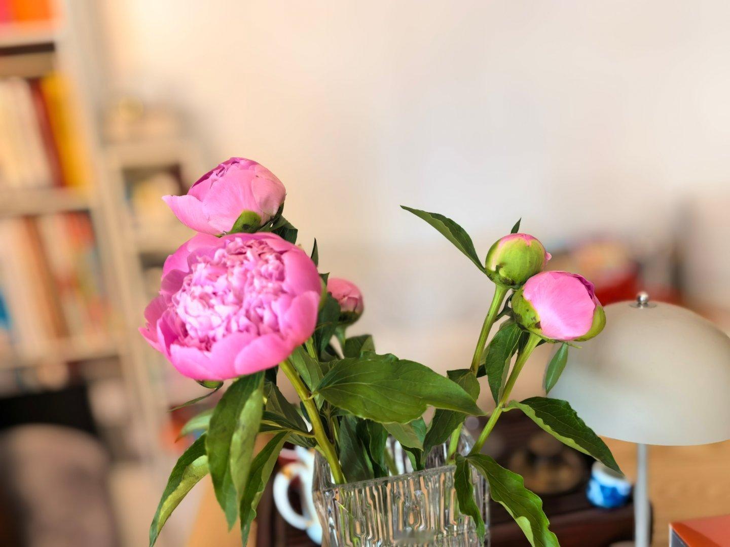 劳动节快乐吖热爱养活自己的工作，远离消耗自己的人(一)有时候觉得，心动的代价太大