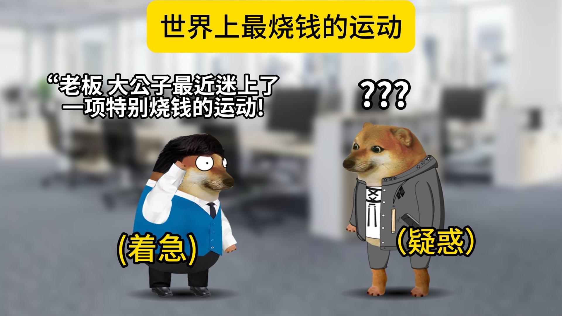 水翼帆船。运动