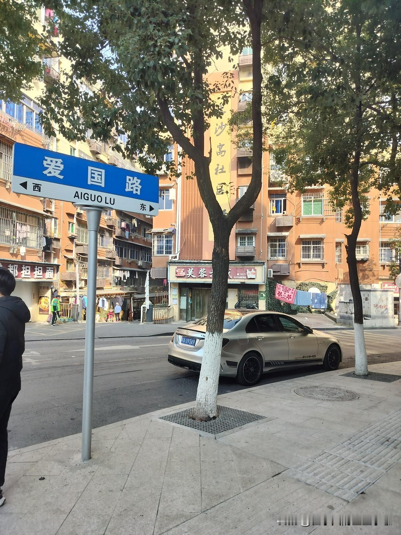 。她在每个重要岗位都安插亲信、织密网络，让司法与立法系统对她形成“效忠惯性”，成