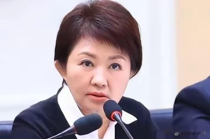 台中市市长卢秀燕被记者问到日本和菲律宾准备擅自把台海以东划成他们的经济区域时，一