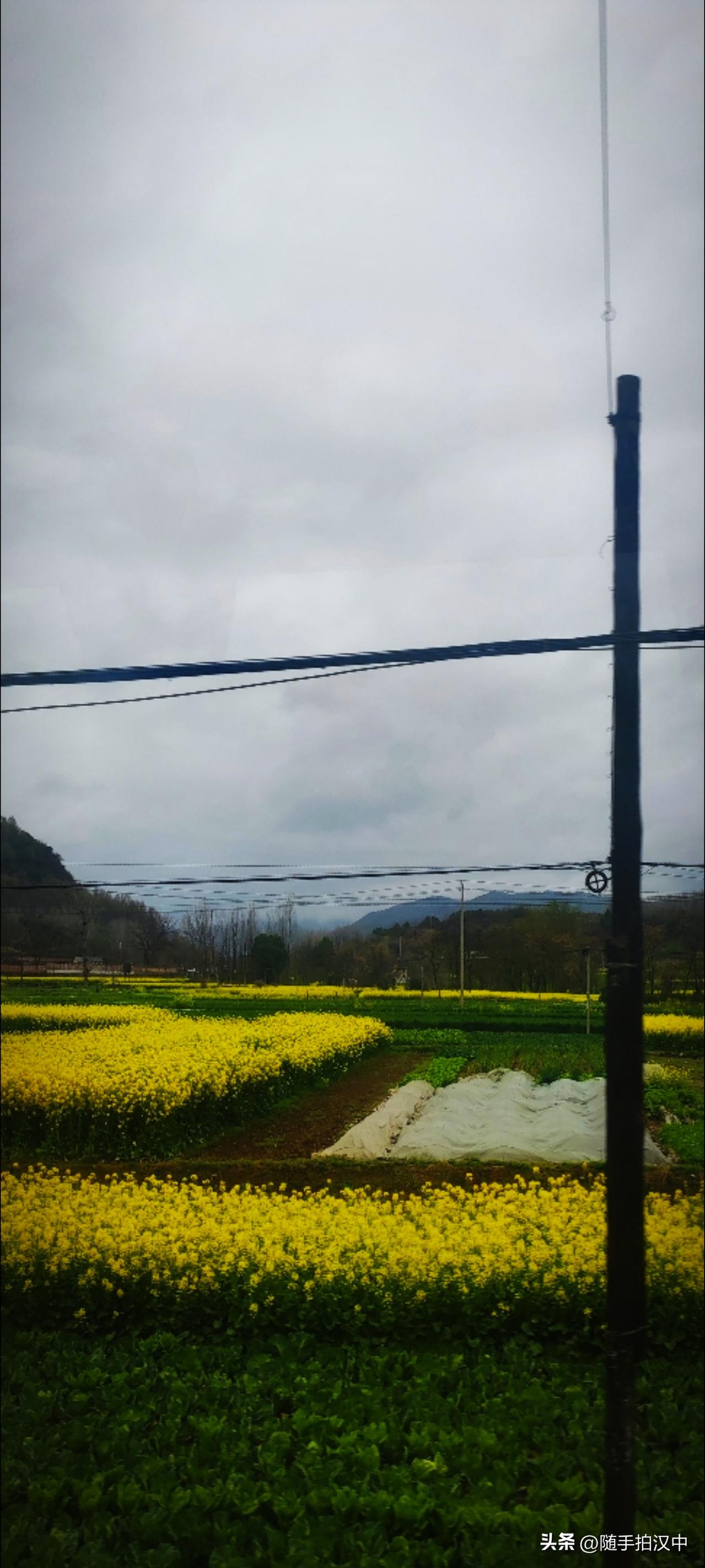 今日春分，小城晴天啦！今日龙抬头，吃两个鸡蛋。哎呀，今年春分，是最能接住“好运”