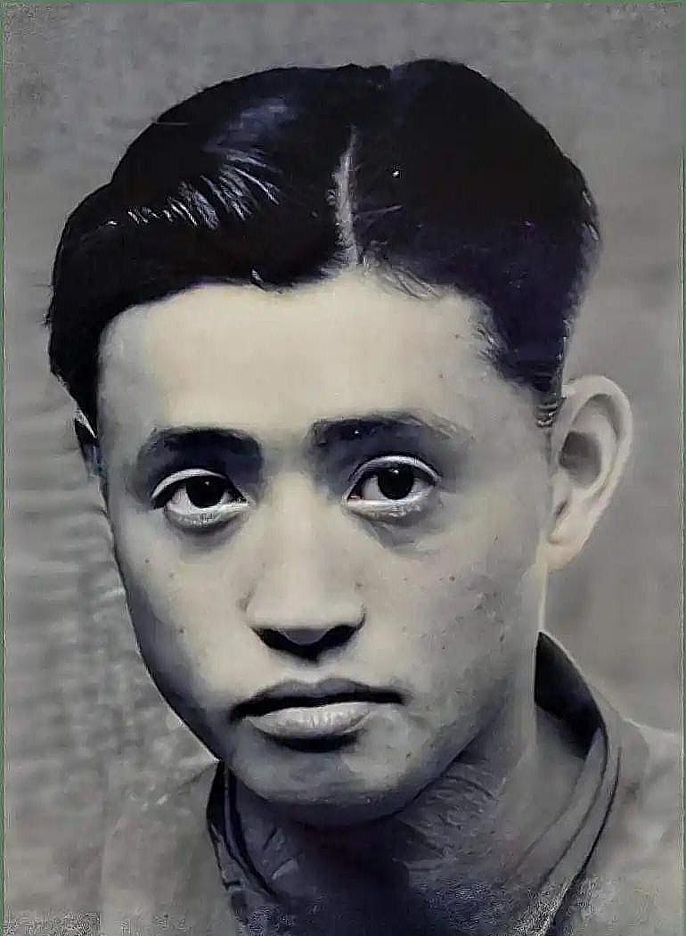 1949年，亲生儿子因通共罪名被枪毙，这位国民党中将默然三日三夜，随后将蒋介石安