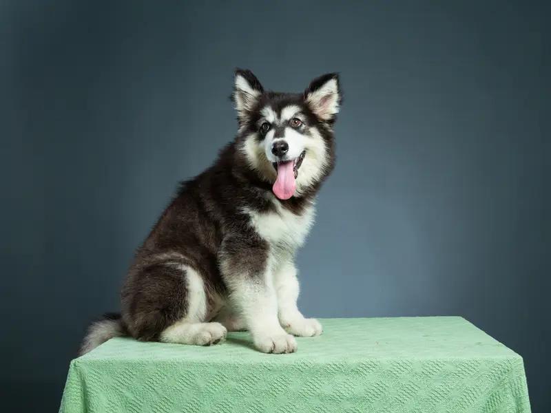 12月3日半夜，小区监控拍下令人气愤的一幕。一名保安穿着雨衣，双手持大粗棍在路上