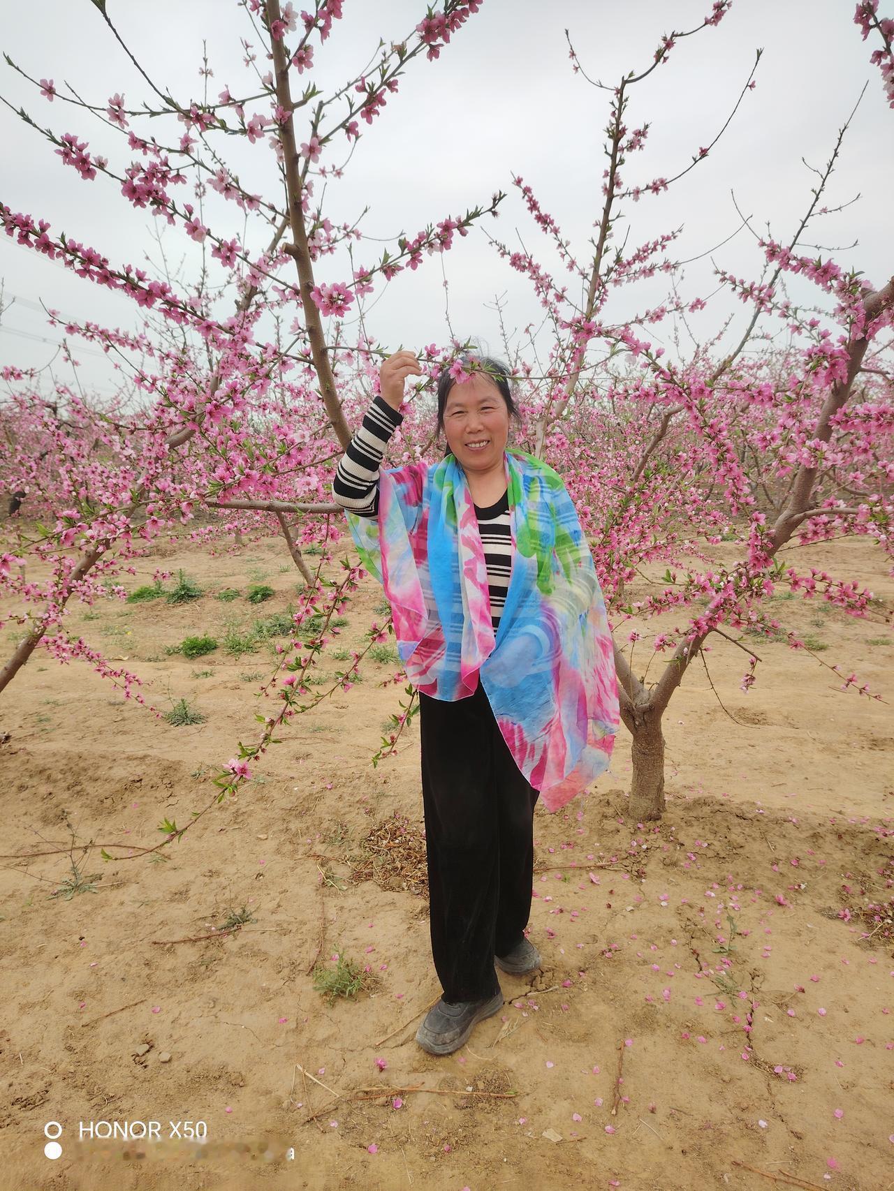 春日生活打卡季春天来了，万物复苏，粉红色的桃花开了，美的让人心醉。陶醉在花的海洋