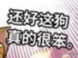 其实这个屑珊子已经生理性爱死7了，但他自己不承认也不敢认