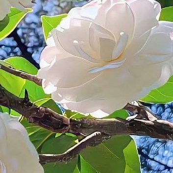 阳光信用  每日一善 阳光信用 善，乃万德之源，孝是百善之首。 善，即修身律己，