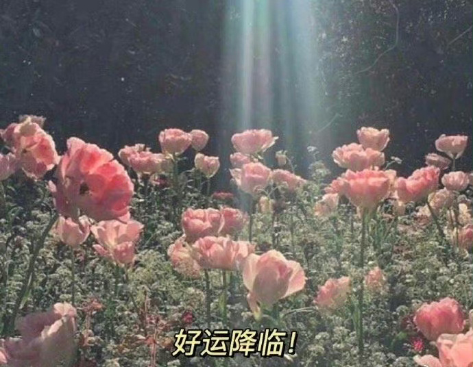 秒赞，你将会收获一份超大好运！ ​​​
