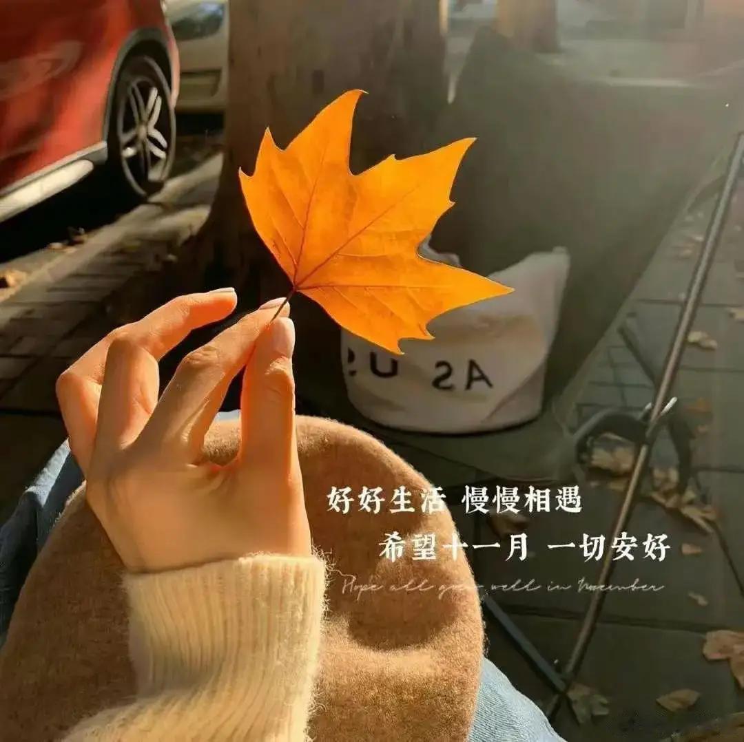 🔖²⁰²³/₁₁.₀₂☼🌿❥ 𝓛𝓸𝓿𝓮 𝓵𝓲𝓯𝓮𓈒𓏸 ꒰