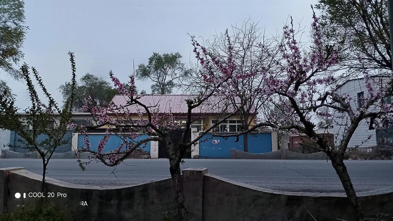 千好万好，不如社保好！老有所养，病有所医。儿女再好，也要交社保！