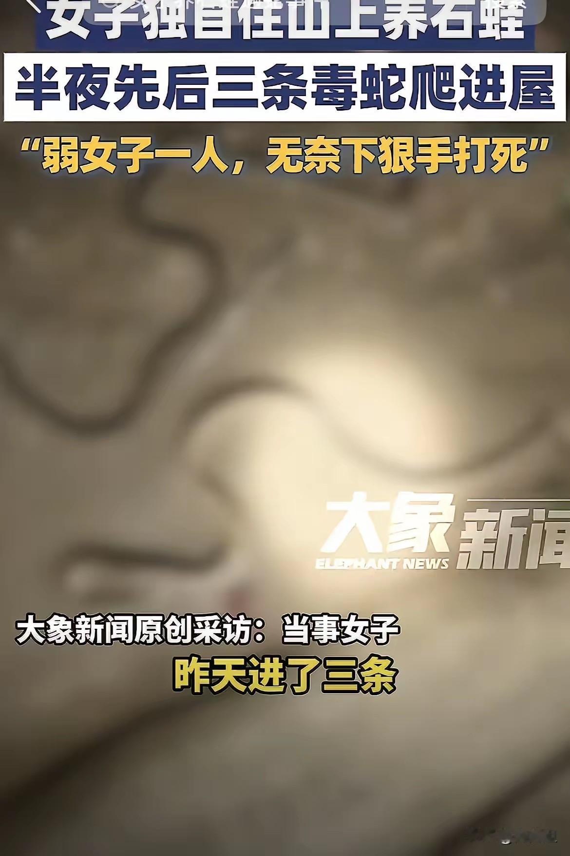 胆子真大！
湖南永州一女子为了方便住在山里养石蛙，山中常常有蛇鼠出没，每晚睡前都