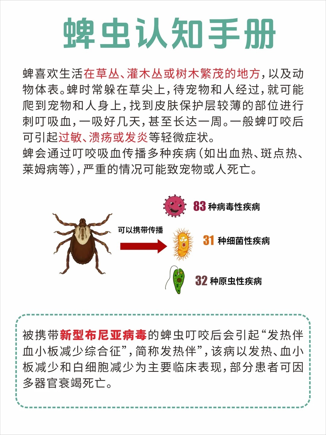 1岁幼儿睡前发现蜱虫钻进头皮在吸血 随着天气变暖，人们户外活动频率增加，遭遇"吸