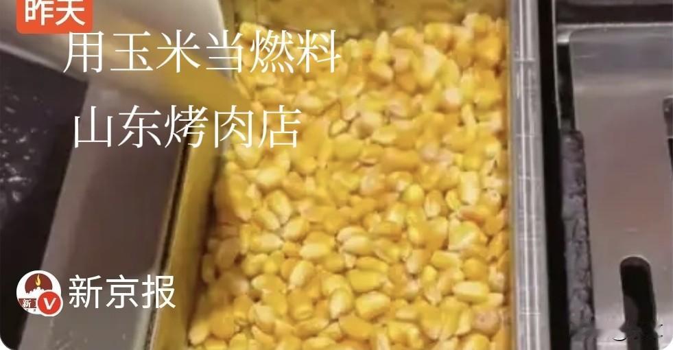 最近看到山东烟台
一家烤肉店竟然用
金黄色色玉米粒
当燃料，我的天呐！
要知道很
