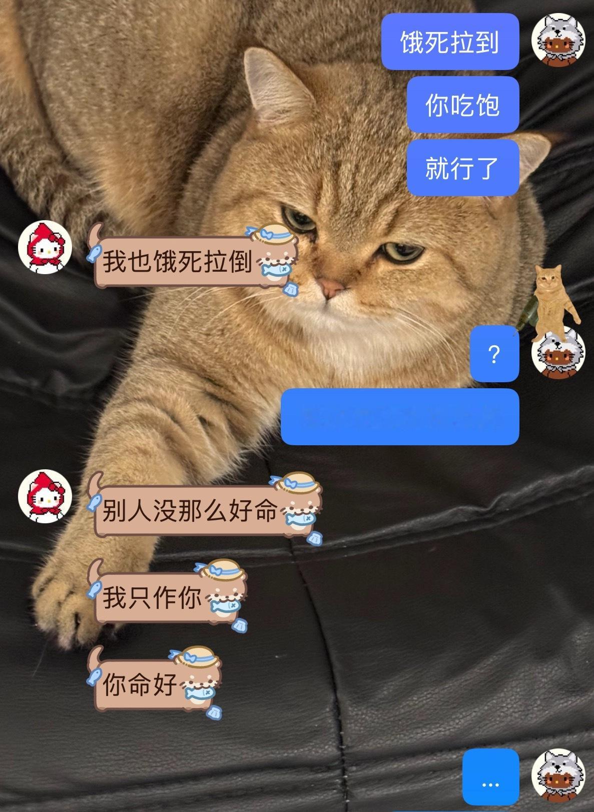 傻福来的 