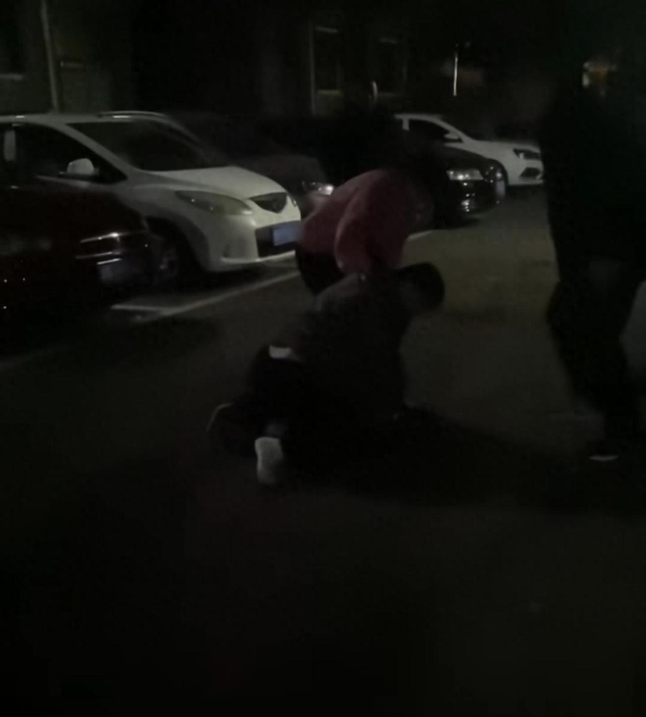 株洲女子夜间遭同小区大狗扑咬，男子从二楼冲下死死摁住肇事狗，众居民：一定要表扬他