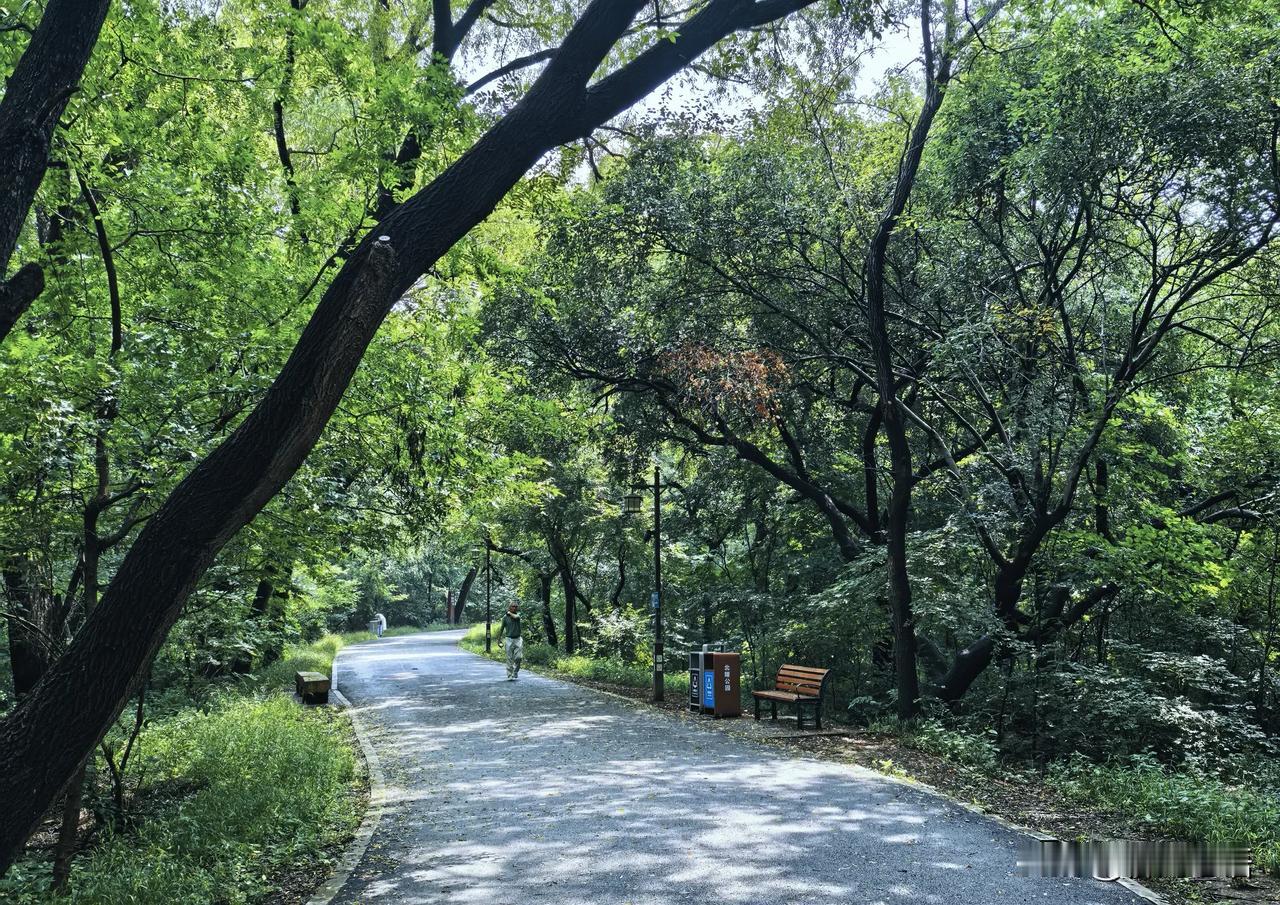 侄子夫妻双体制内，高校老师配三甲护士长，在北京依旧买不起房，现实太扎心。

前段