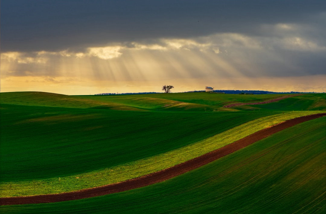 捷克南部，起伏的田野、流动的光影、被春天重新染绿的土地。站在这里，会明白，大地本