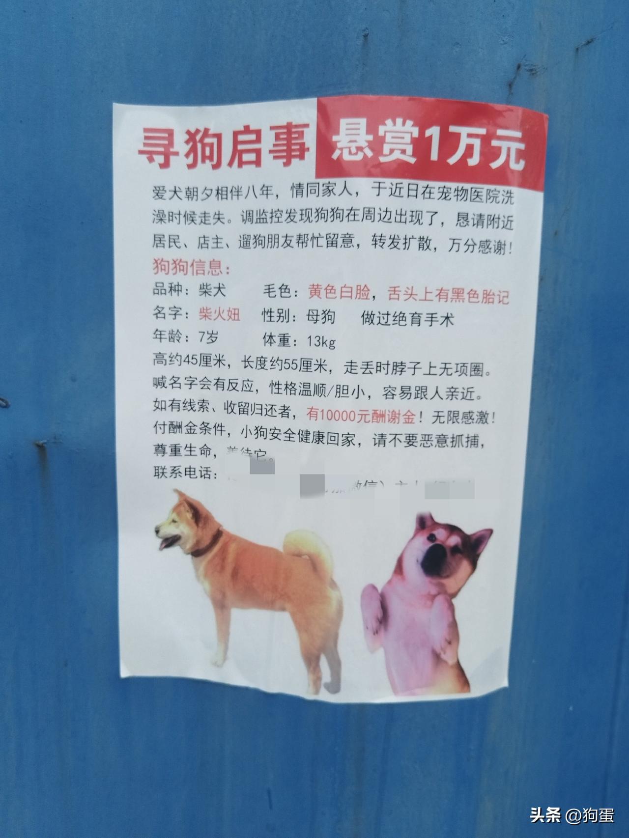 如果你的家人走失了，你会在寻人启事上写着重谢10000元吗？

大多数寻人启事只