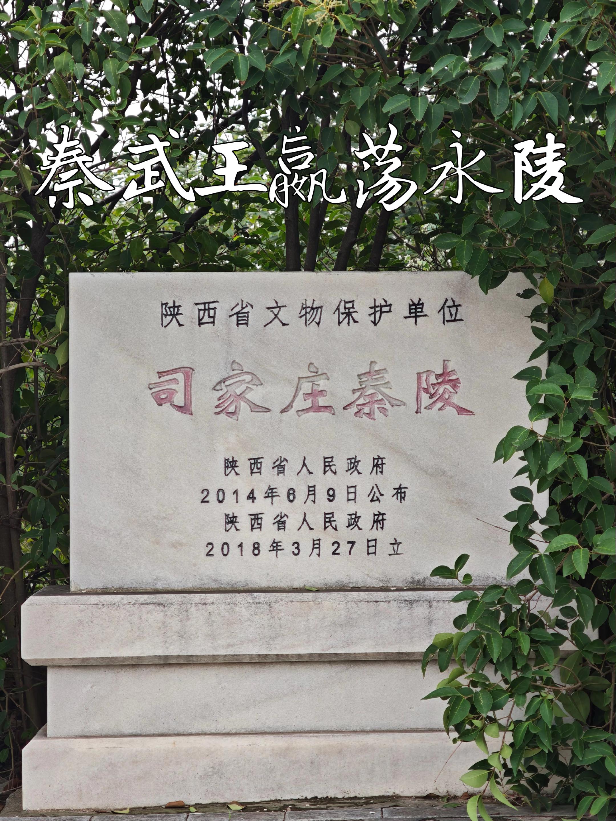 秦悼武王嬴荡·永陵。司家庄秦陵位于咸阳陵区核心区域，该陵区现存4座秦陵...