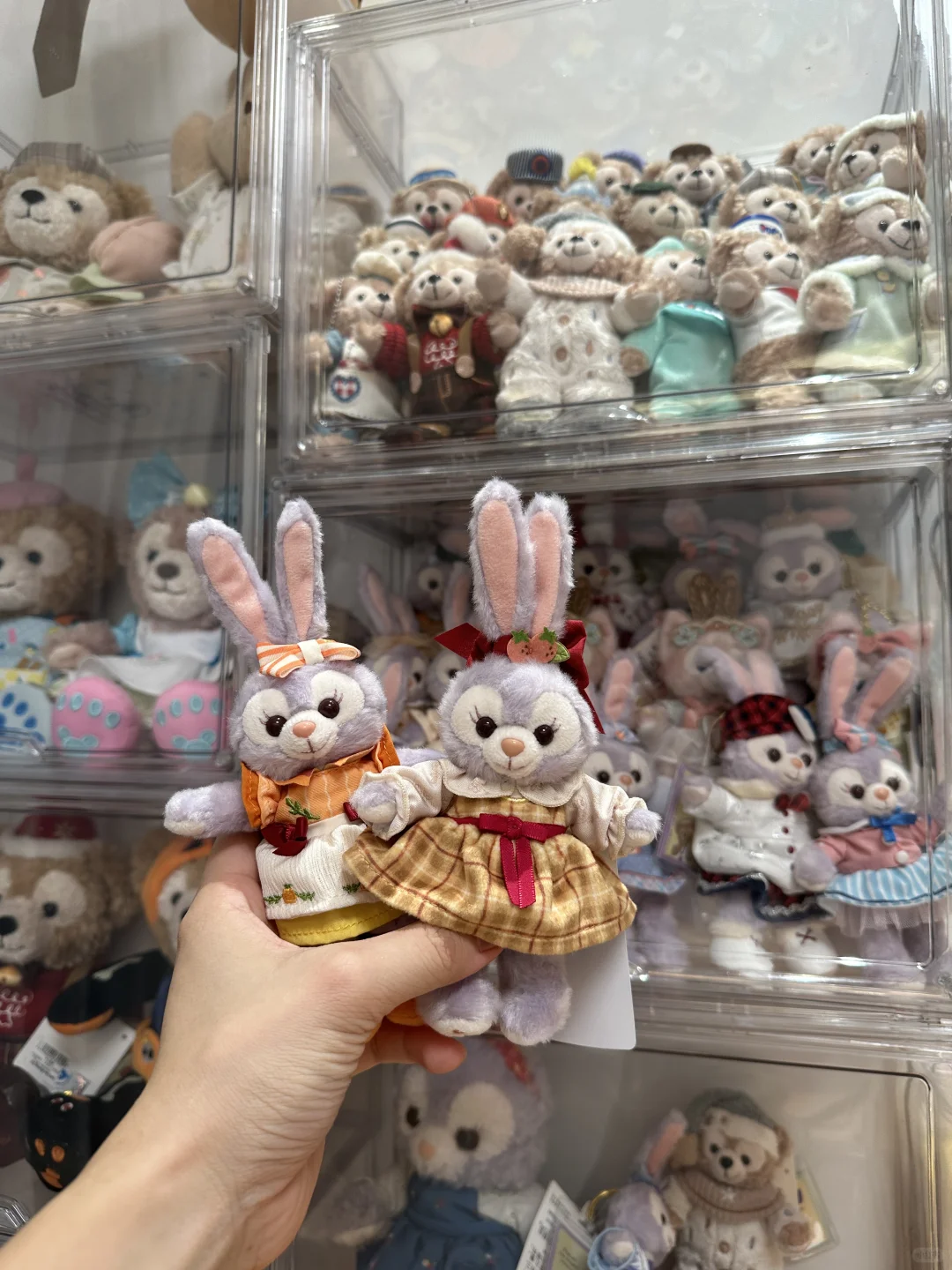两只都好可爱呀🐰