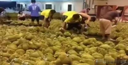 失去中国市场，大量水果烂在地里后，就开始后悔得罪中国了，咱们只能跟他们说，现在知
