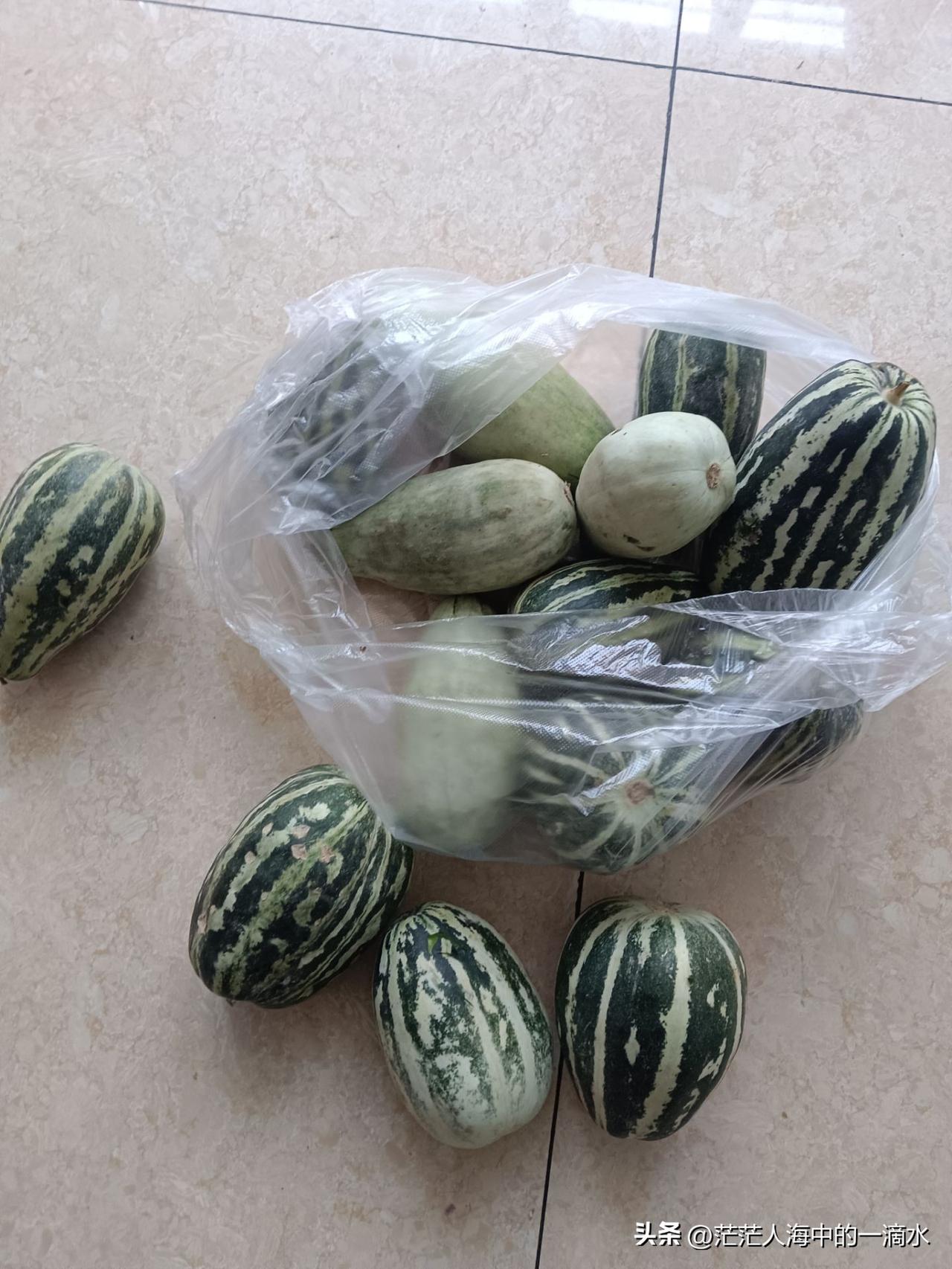 早上七点，我骑着电动车载着老公去汽车站，他要去省城赶火车，回我们在外地城市里的家