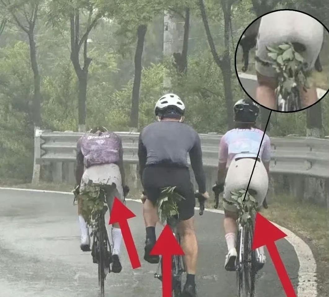 马路上的一幕惊呆了。