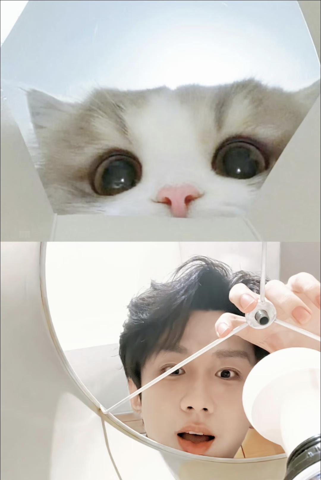 好可爱的宝宝晚安啦 