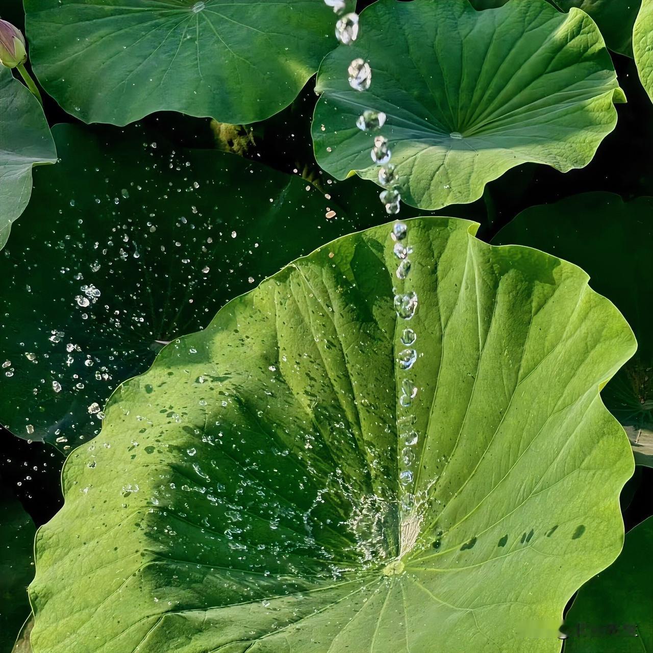 社会学家：保姆行业也是现实江湖，挑活的没单，能干的抢着要！

做保姆中介的都懂一