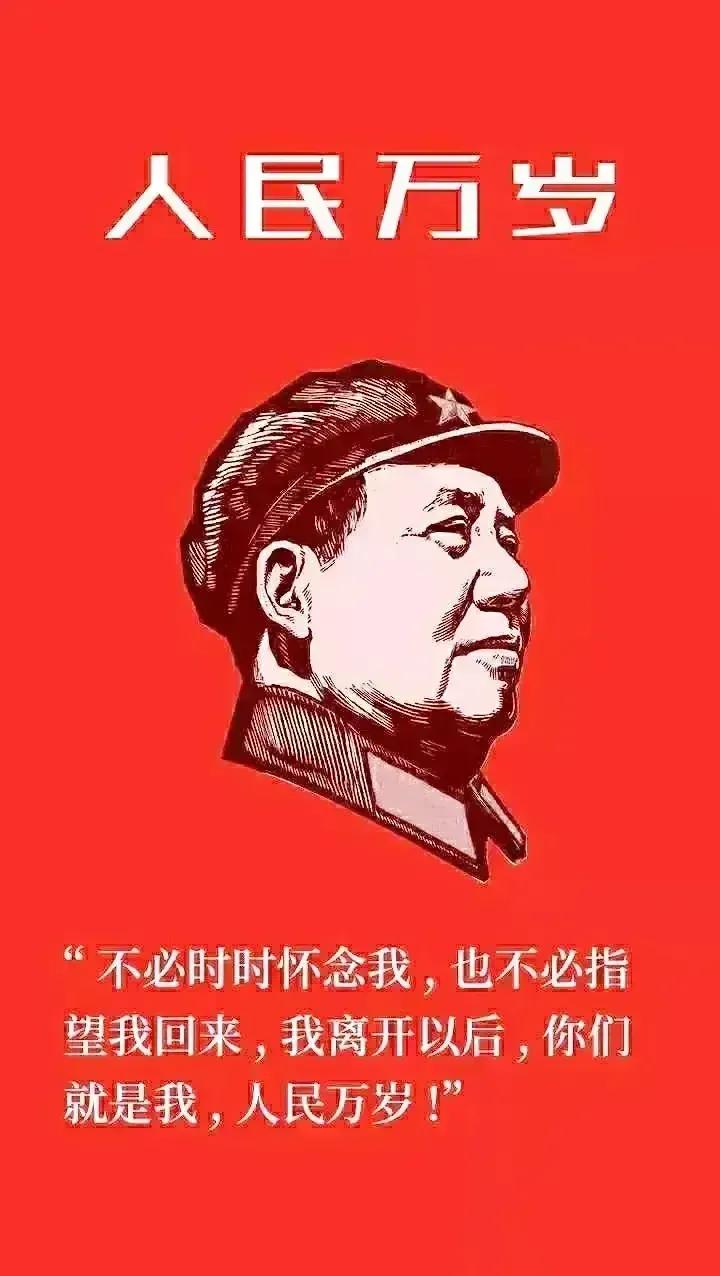 天不生润之，万古如长夜！