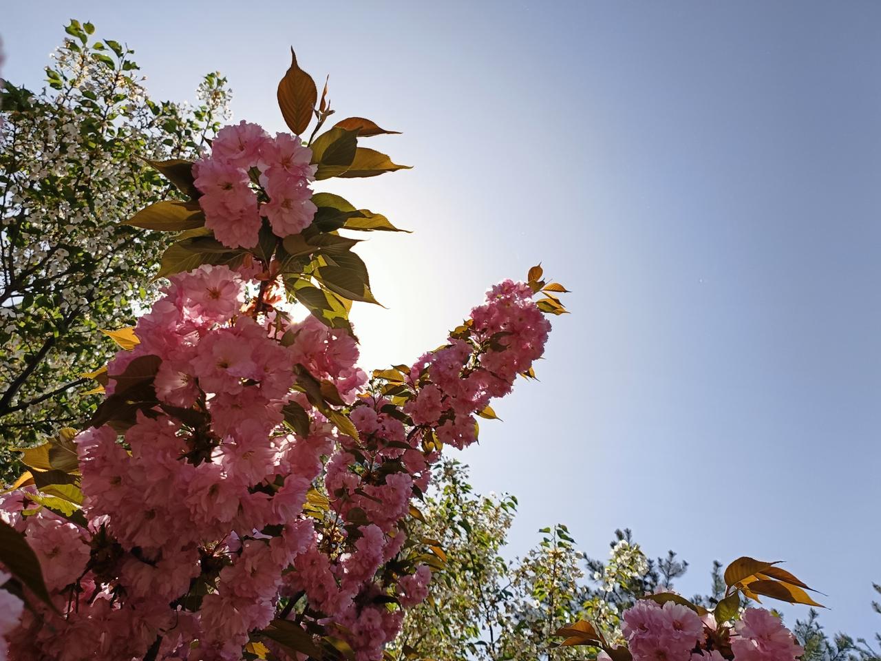 清晨，迎着晨曦的第一缕柔光，我又满怀希望出发，前往医院守护那份来之不易的健康。