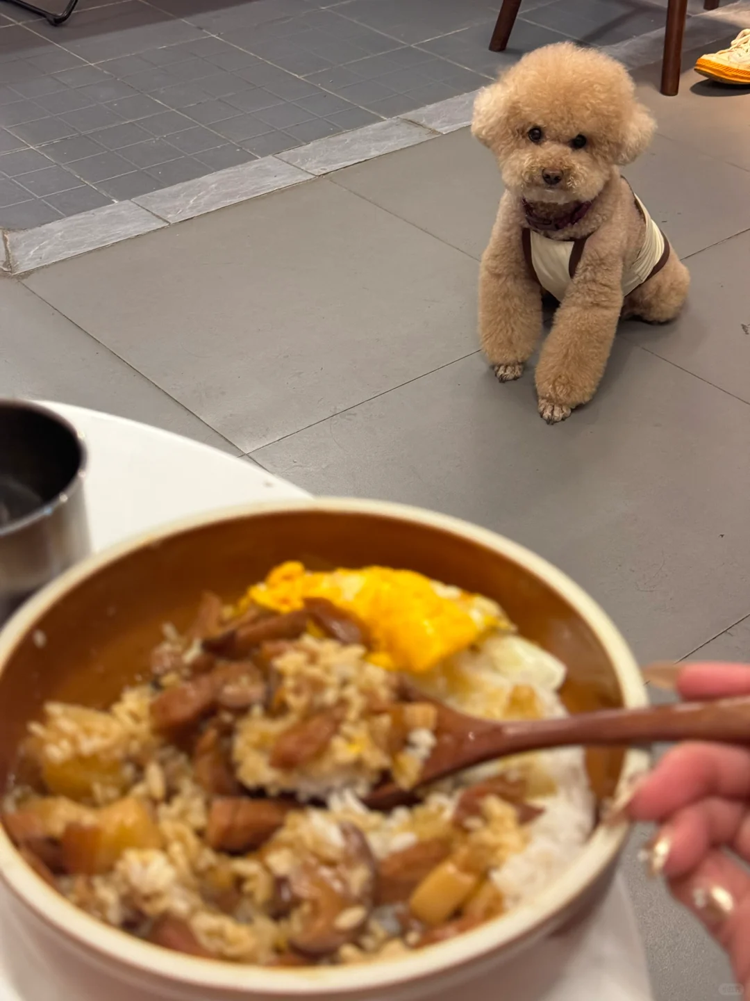 摇粒绒你福哥今日ootd！.