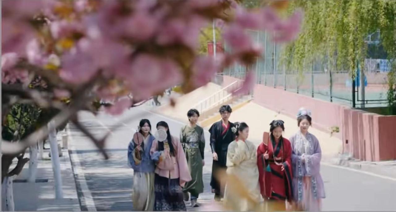 ，那年的樱花路，我们一起走过