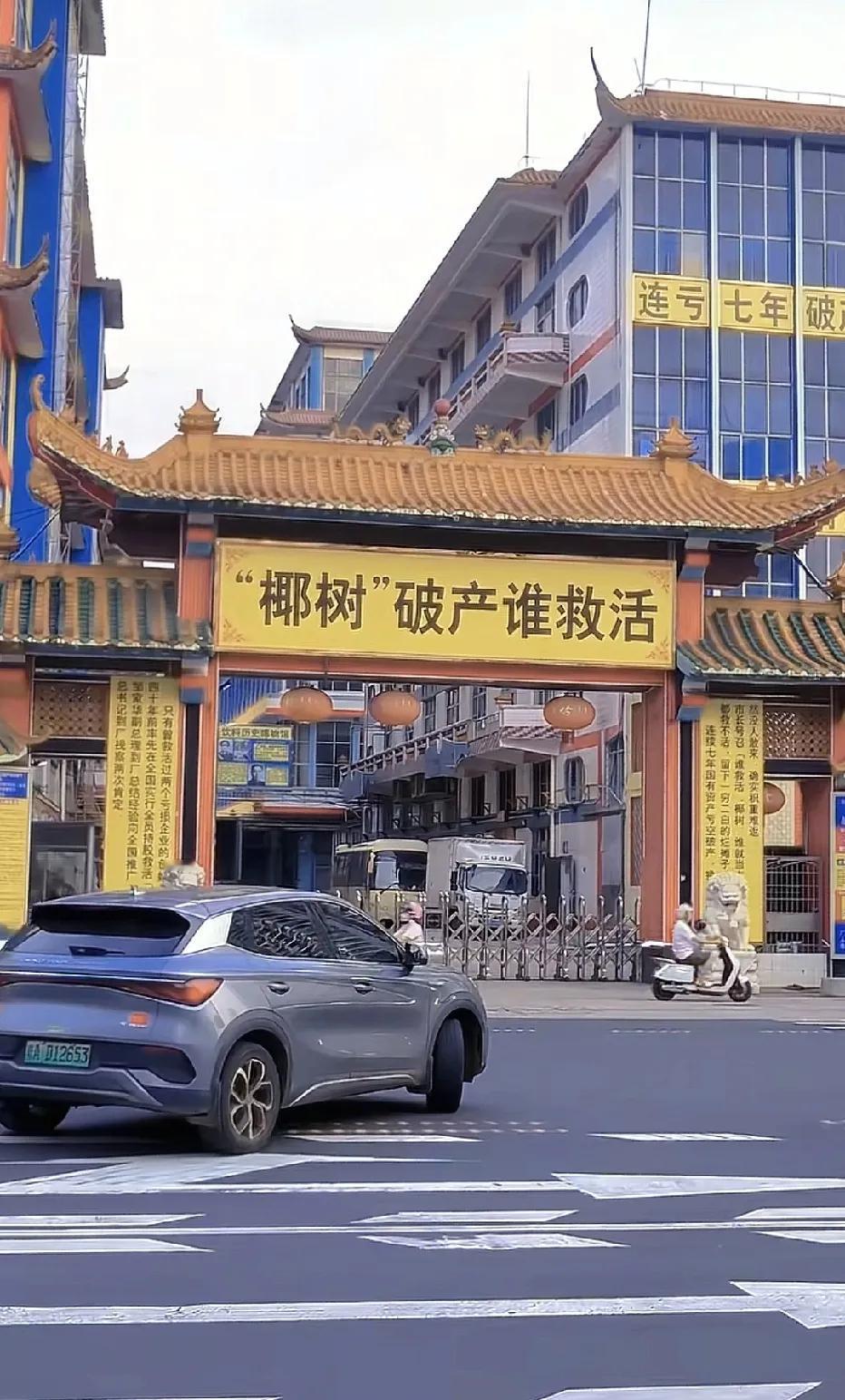 路过椰树，密密麻麻的标语，它一直是这样子的吗？好“吵”的一面墙[捂脸]之前我就看