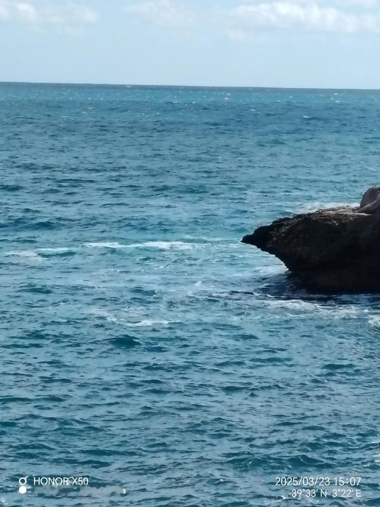 龟王出海
（拍于海边礁石）