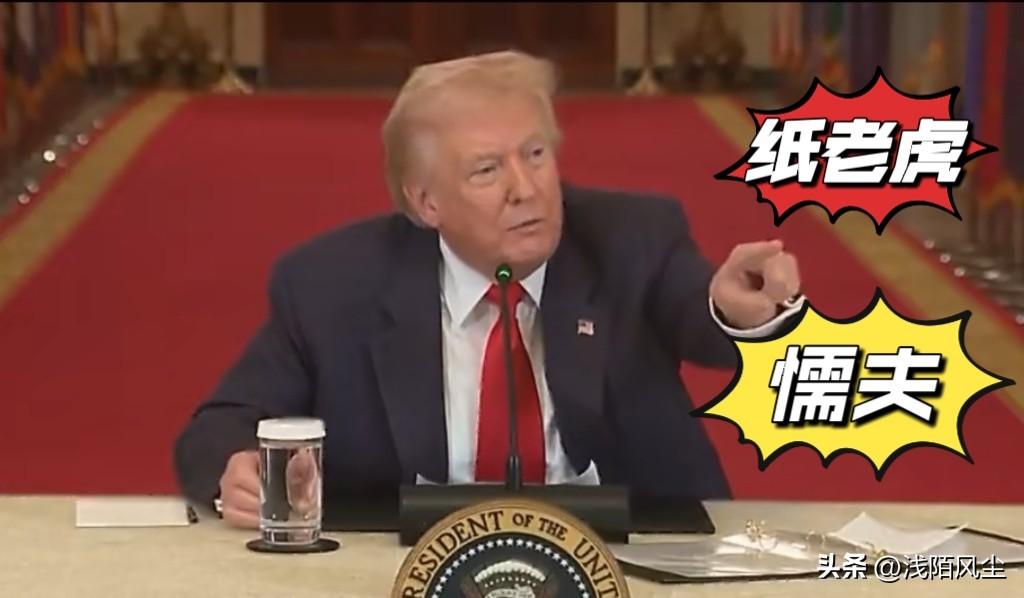 懦夫 特朗普在社交媒体继续抨击北约: 没有美国北约就是纸老虎，他们当初不愿加入阻