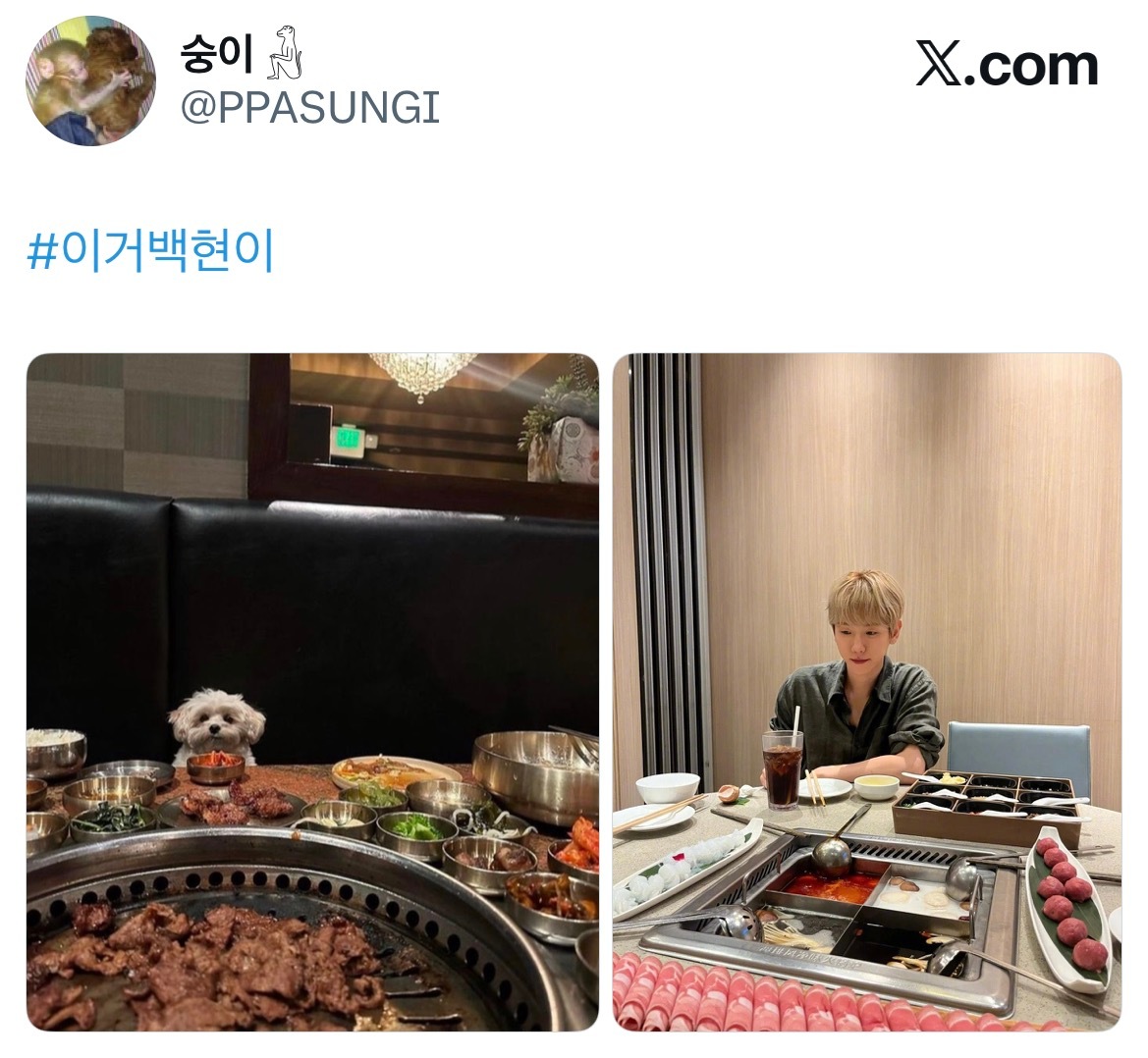 小狗吃烤肉 小狗吃火锅PPASUNGI 