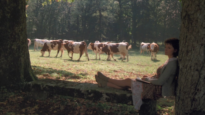 你永远不可能总是对任何事情都做到确有把握。你所能做到的就是用你的勇气和力量去做你