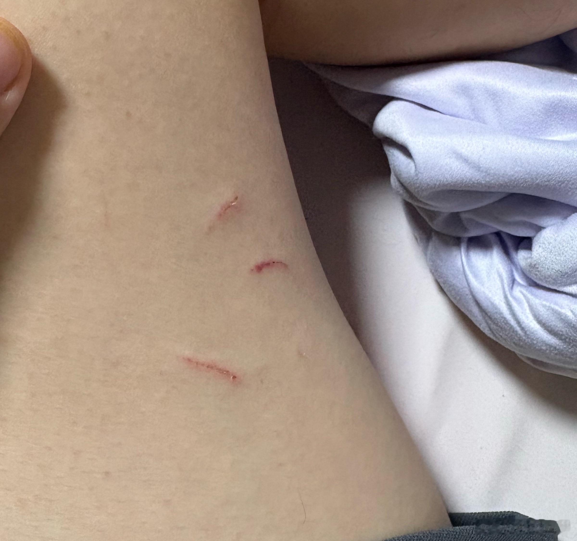 这三只猫到底什么时候给我抓的，我昨天睡前还没有！ 