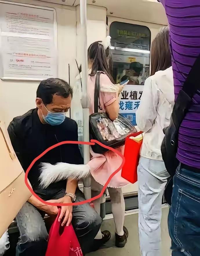 穿毛尾巴衣服杵大叔？
这“自由”咋有点膈应人。
一女子穿带毛绒尾巴的衣服，尾巴还
