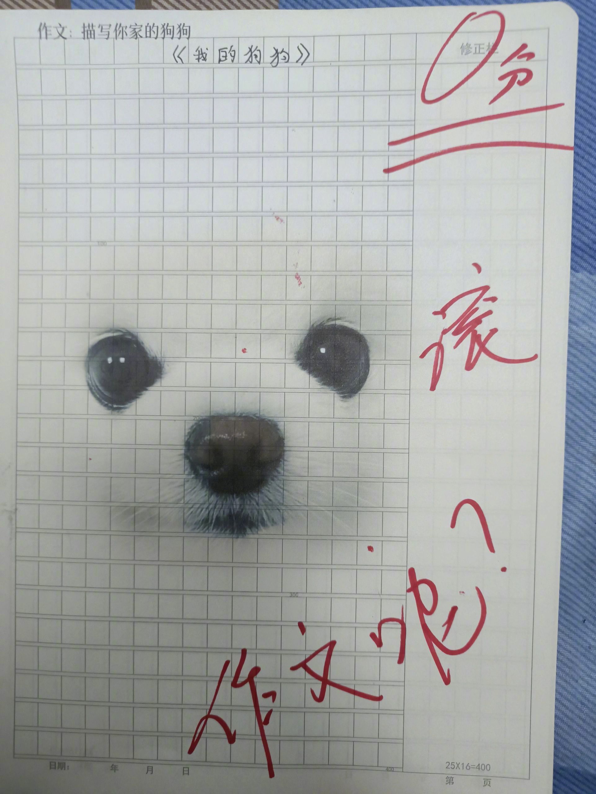 这不比写作文生动多了？！ ​​​