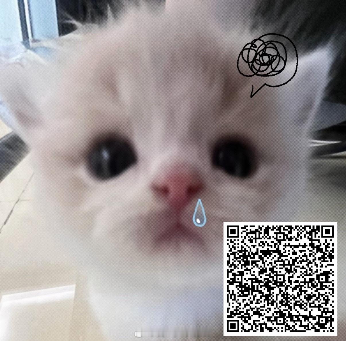 zybl 需要很多很多1咔烂这个剪入 做完来这个 ​​​