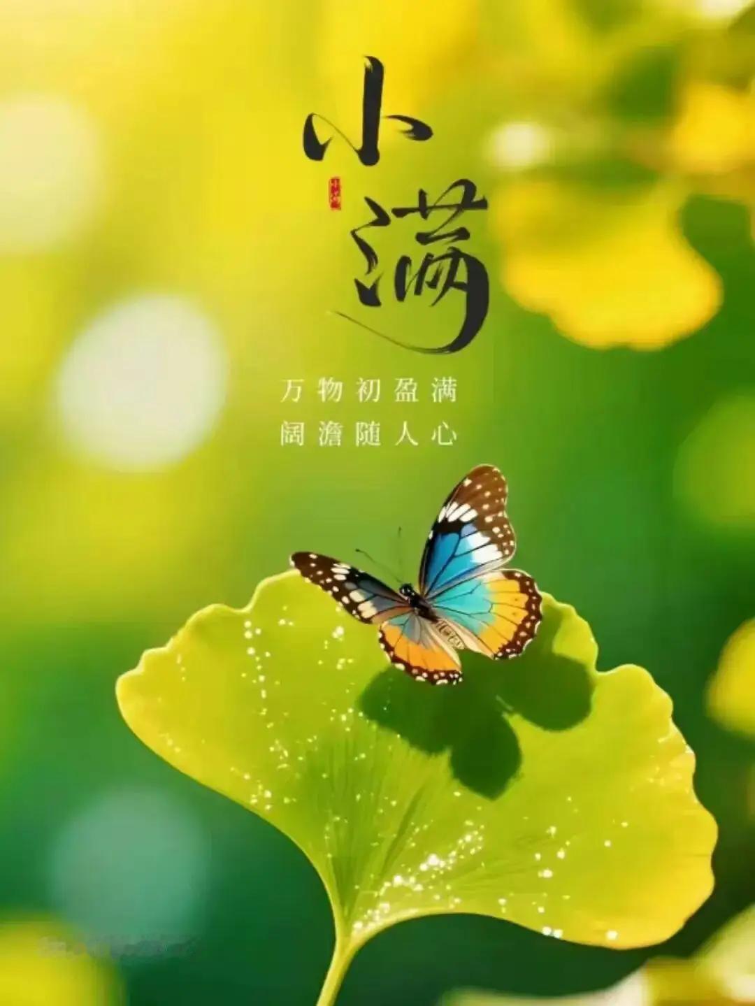 小满初至，世界就像被大自然调了个滤镜，到处生机盎然。北方麦类灌浆渐满，“三夏”大