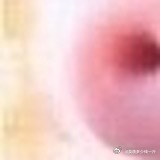 生活或许有荆棘，但善良是穿越荒芜的星光。它让我们在复杂的世界里，依然能看到人性的