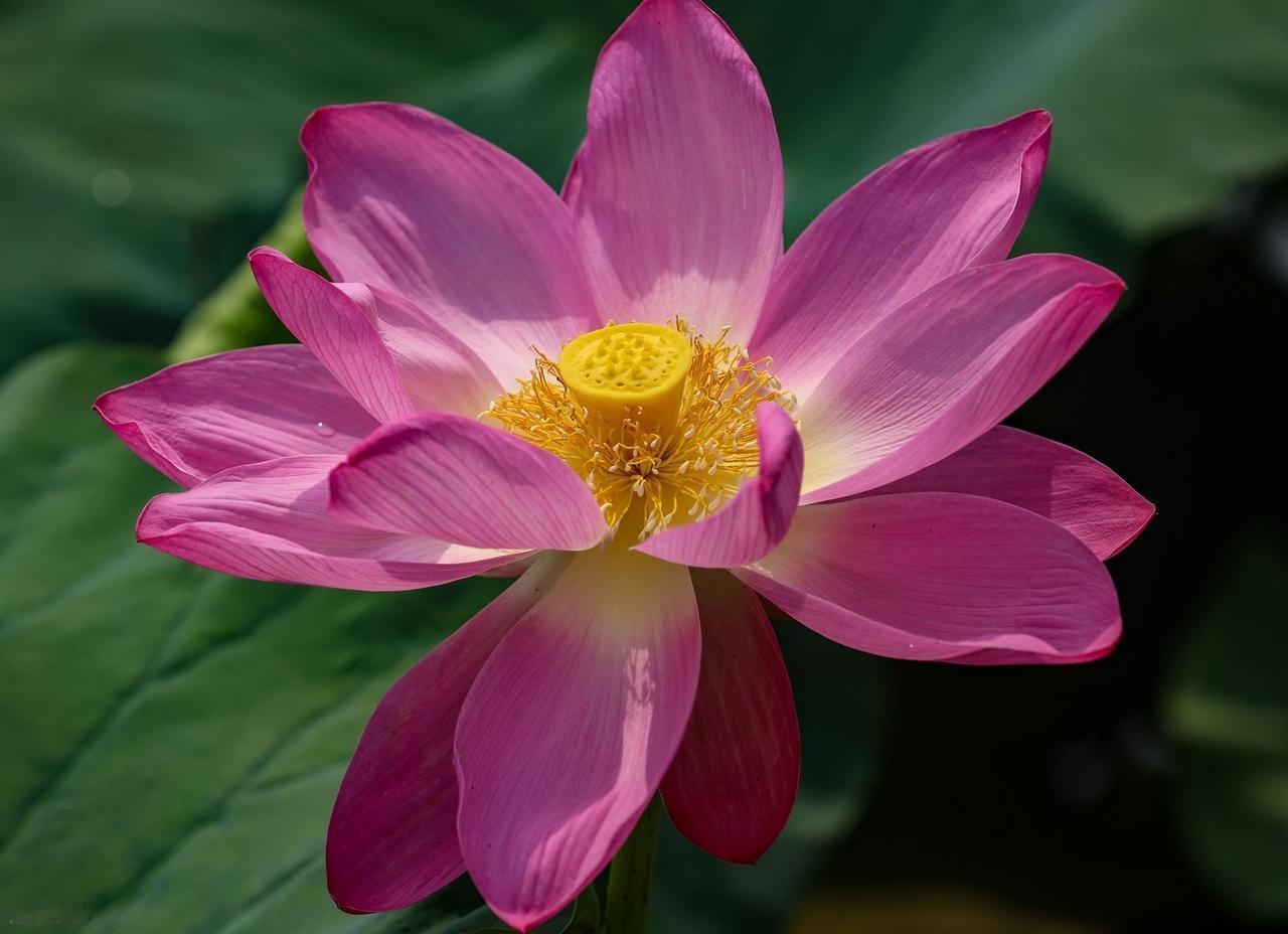 人生唯一不改变，是不断的改变。紧张与松弛，沉重与飘逸，都是生命的状态，生活，只有