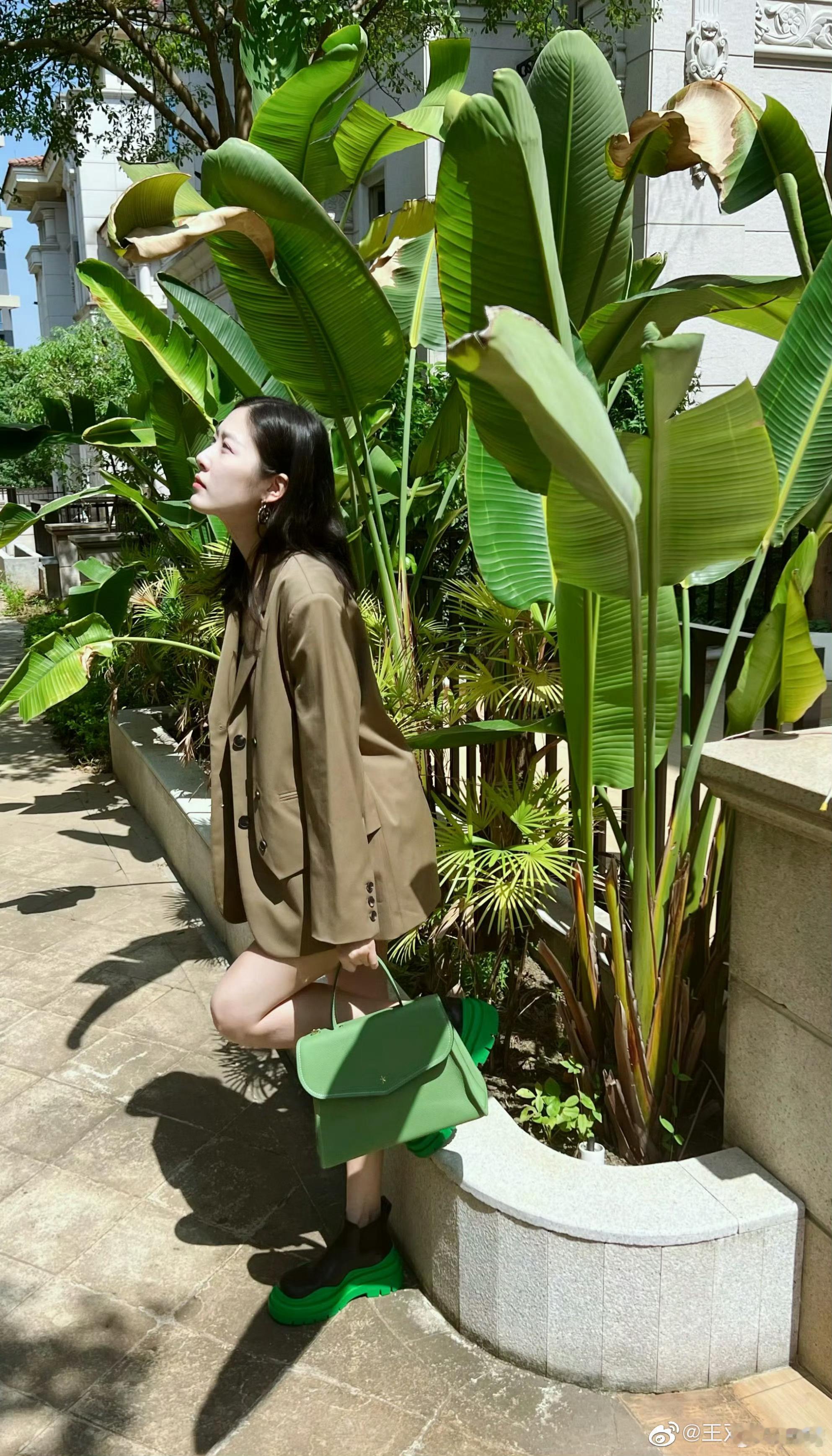 王双 🌴 日常碎碎片 