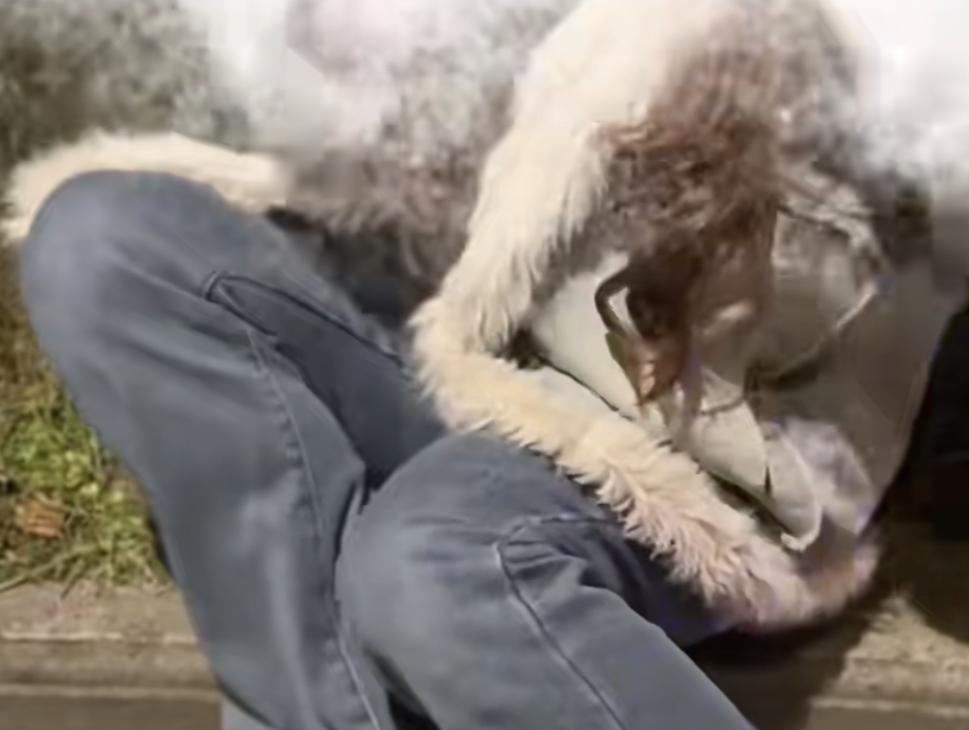 遇到这类反常寻求帮助的人，咱们一定要敬而远之。
江苏一女子晚上9点多下班的时候，