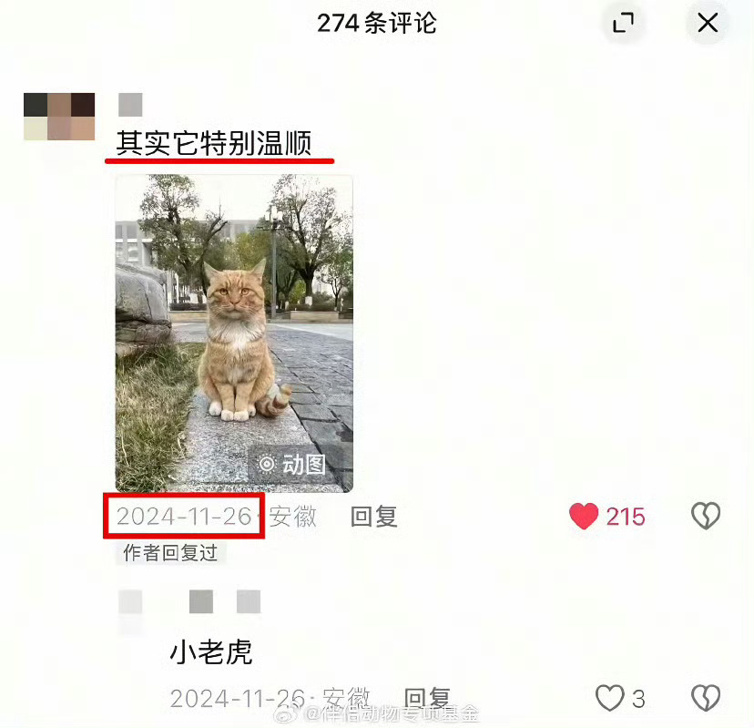 校方回应猫咪尸体被塞进学生课桌 这都是杀人犯预备役 