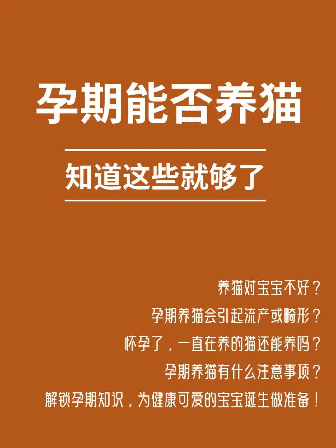 怀孕了还能养猫吗？铲屎官看过来！